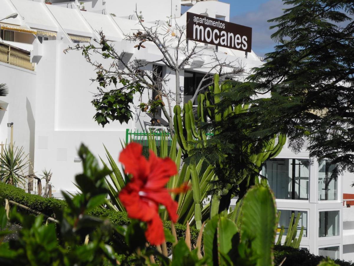 Apartamentos Los Mocanes 푸에르토리코 외부 사진